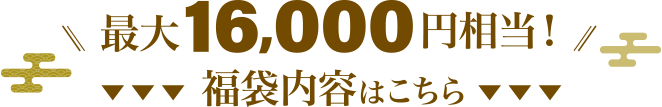 最大16,000円相当！福袋内容はこちら