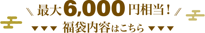 最大16,000円相当！福袋内容はこちら