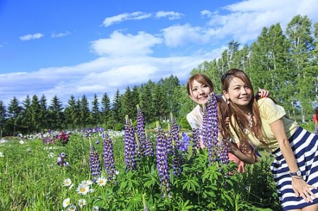 Jj Tour 北海道ガーデン街道チケット付 Jalで行く 花々を巡る旅 北海道ガーデン街道フリープラン 2泊3日 選べる 4ガーデン 入場ok 選べるjal便 ホテル 旅館