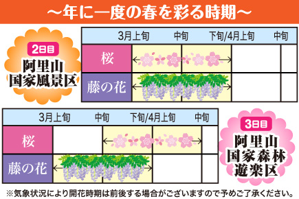 世界三大登山鉄道・阿里山森林鉄道で行く!ご来光観賞と美しき台湾4日間_開花時期