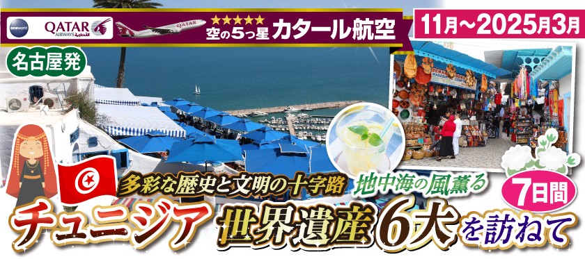 【名古屋発】11月〜2025年3月 多彩な歴史と文明の十字路 地中海の風薫るチュニジア6大世界遺産を訪ねて7日間