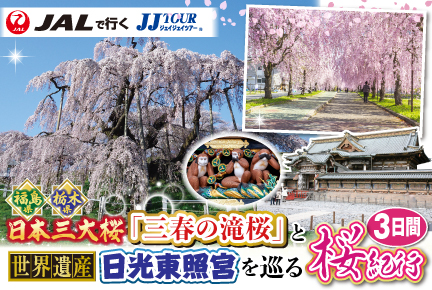 日本三大桜「三春の滝桜」と世界遺産「日光東照宮」を巡る!福島・栃木桜紀行3日間