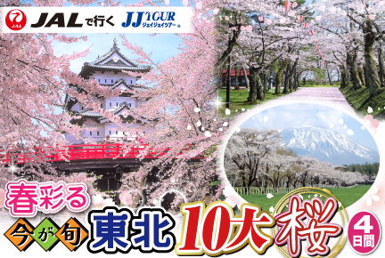 春彩る今が旬!東北10大桜に魅せられて4日間