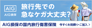 AIG損保の国内旅行障害保険