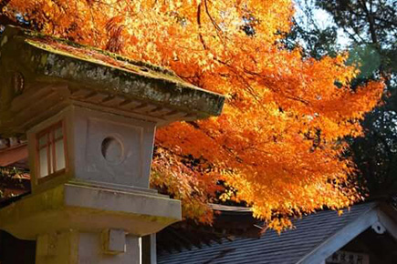 天岩戸神社