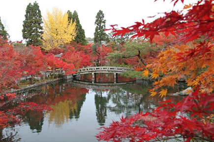 禅林寺（永観堂）