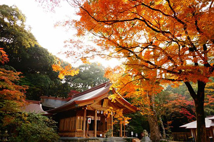 竈門神社