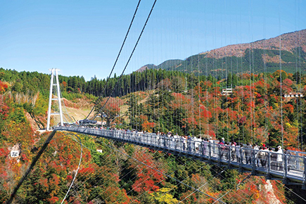 九重“夢”大吊橋