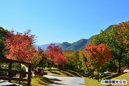 雉岳山（チアクサン）国立公園