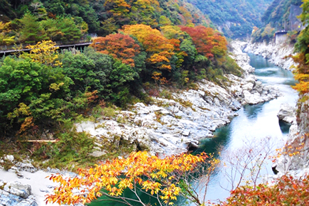 大歩危峡