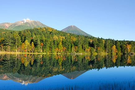 Gotoトラベル 10月 12月 世界自然遺産 知床とひがし北海道湯ったり周遊4日間 お支払い実額 Jumbo Tours 添乗員同行ツアー