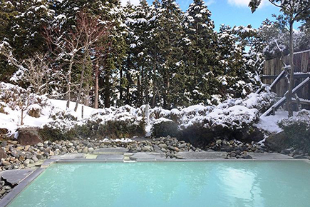 湯ノ花沢温泉「箱根湯の花プリンスホテル」