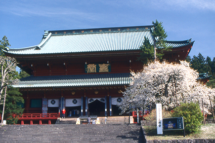 4月 日本三大桜「三春の滝桜」と世界遺産「日光東照宮」を巡る!福島 